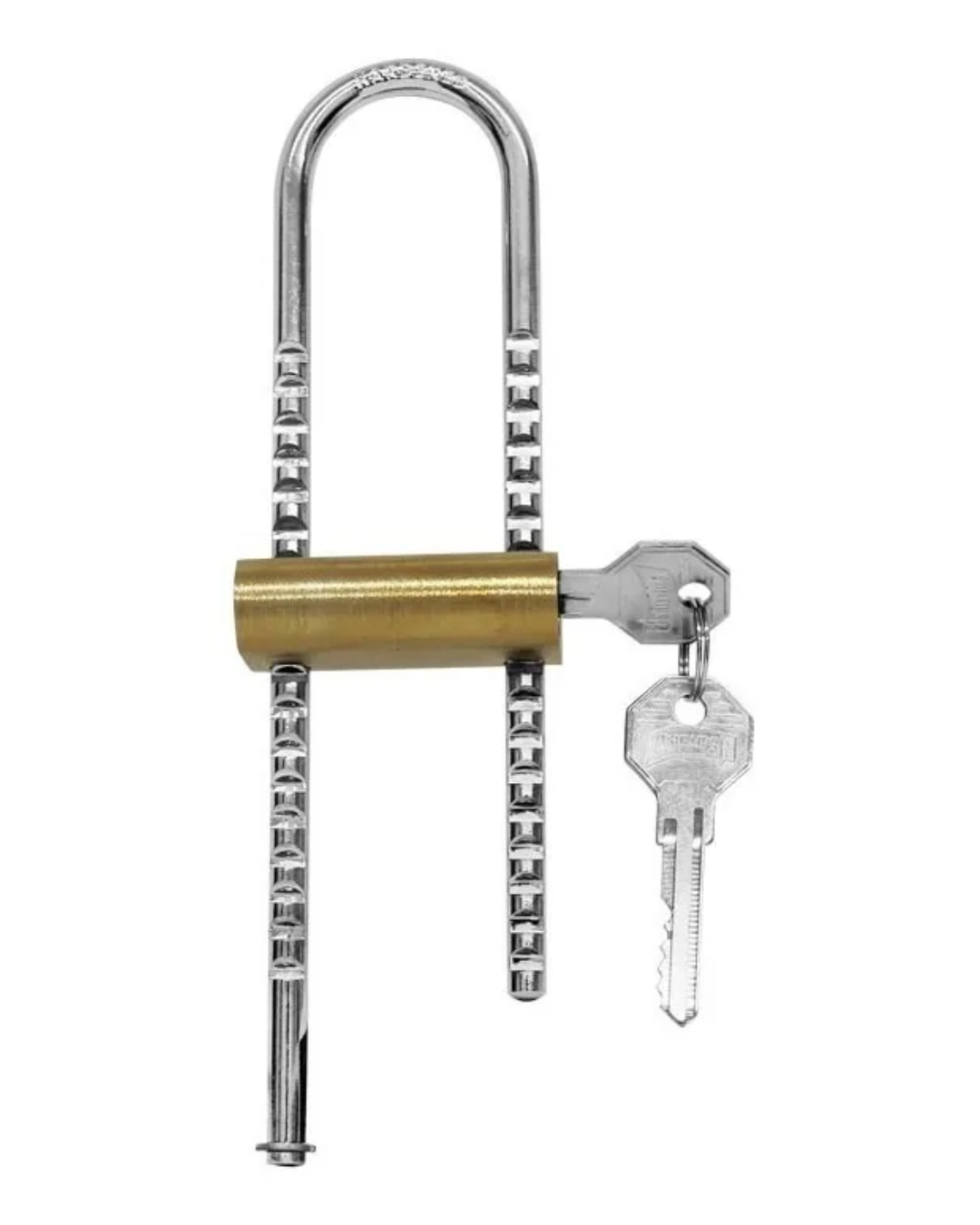 Candado Phillips Modelo 8 de Latón | Gancho Extra Largo Ajustable